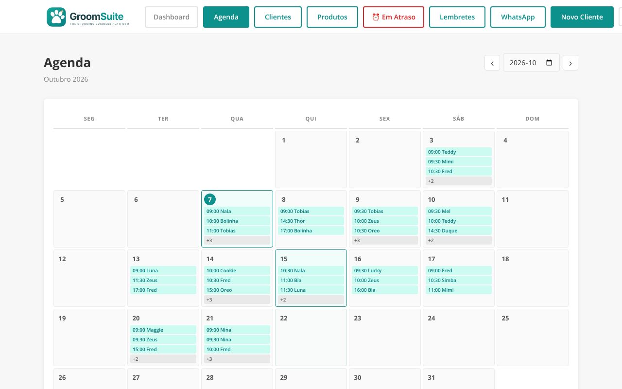 Agenda mensal do GroomSuite com as marcações de cada dia